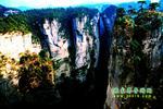 【純玩拼團(tuán)線路6】張家界、黃龍洞、天門山、天子山三晚四日游
