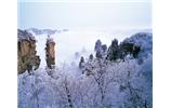 春節(jié)旅游：張家界、袁家界、天子山、寶峰湖/黃龍洞度假二晚三日游